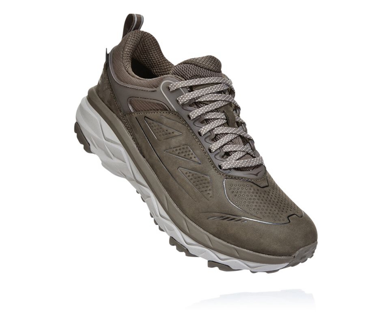 Hoka Challenger Low GORE-TEX Women's Hiking Boots Grey | 60193-GAMS