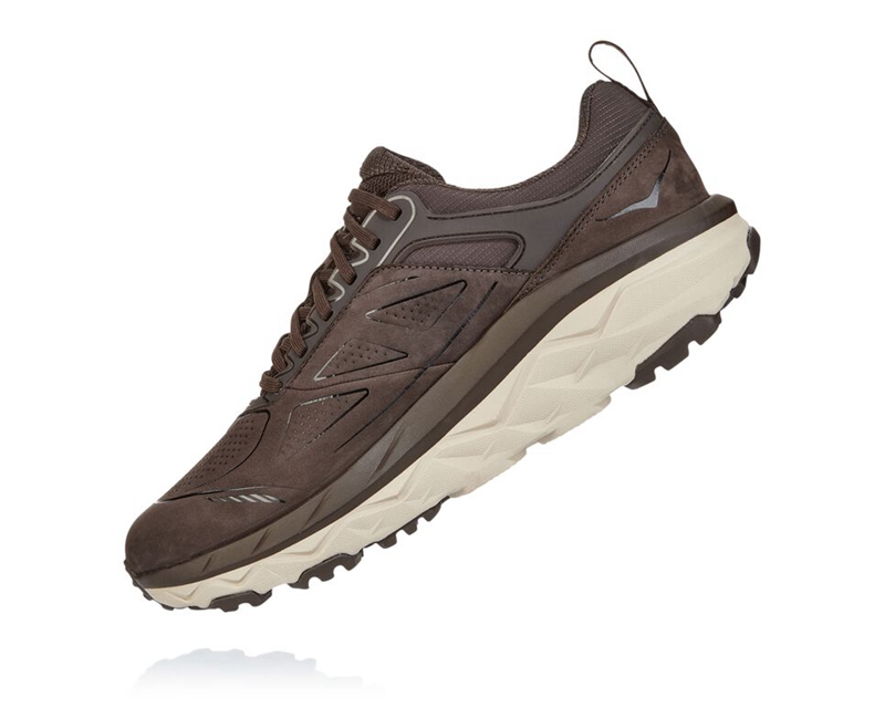 Hoka Challenger Low GORE-TEX Men's Trail Running Shoes Coffee | 35917-VQFB