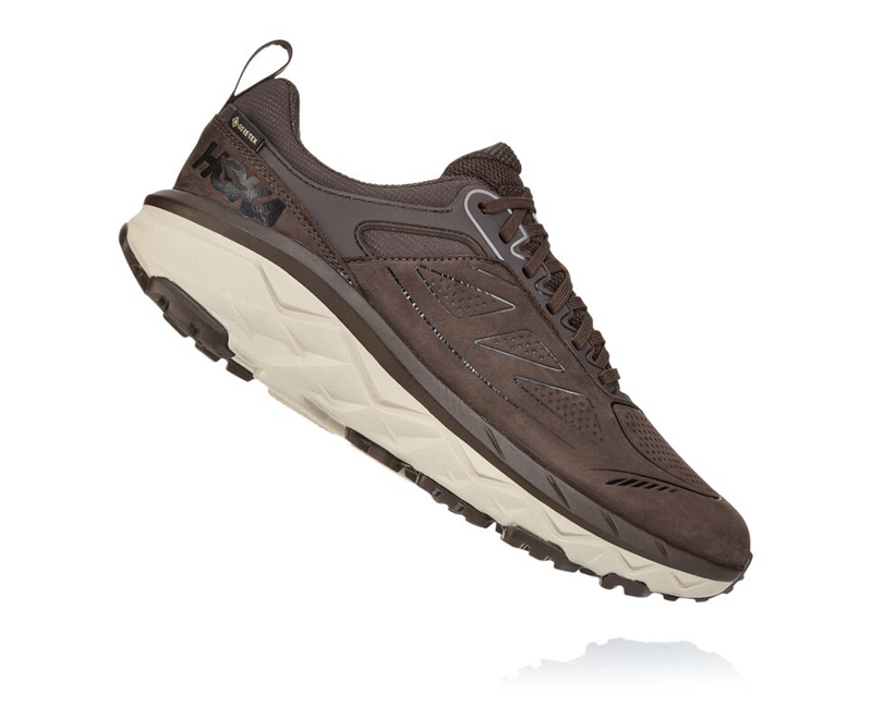 Hoka Challenger Low GORE-TEX Men's Trail Running Shoes Coffee | 35917-VQFB