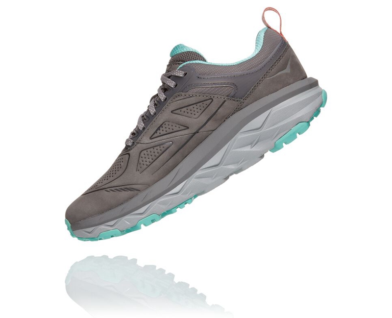 Hoka Challenger Low GORE-TEX Women's Hiking Boots Grey | 56281-LIEB